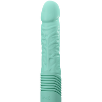 Type de tête - Sammie Prime Mint